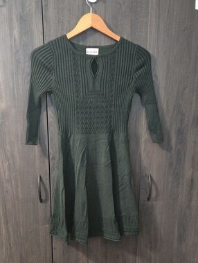 Olive & Oak Forest Green Petite Dress